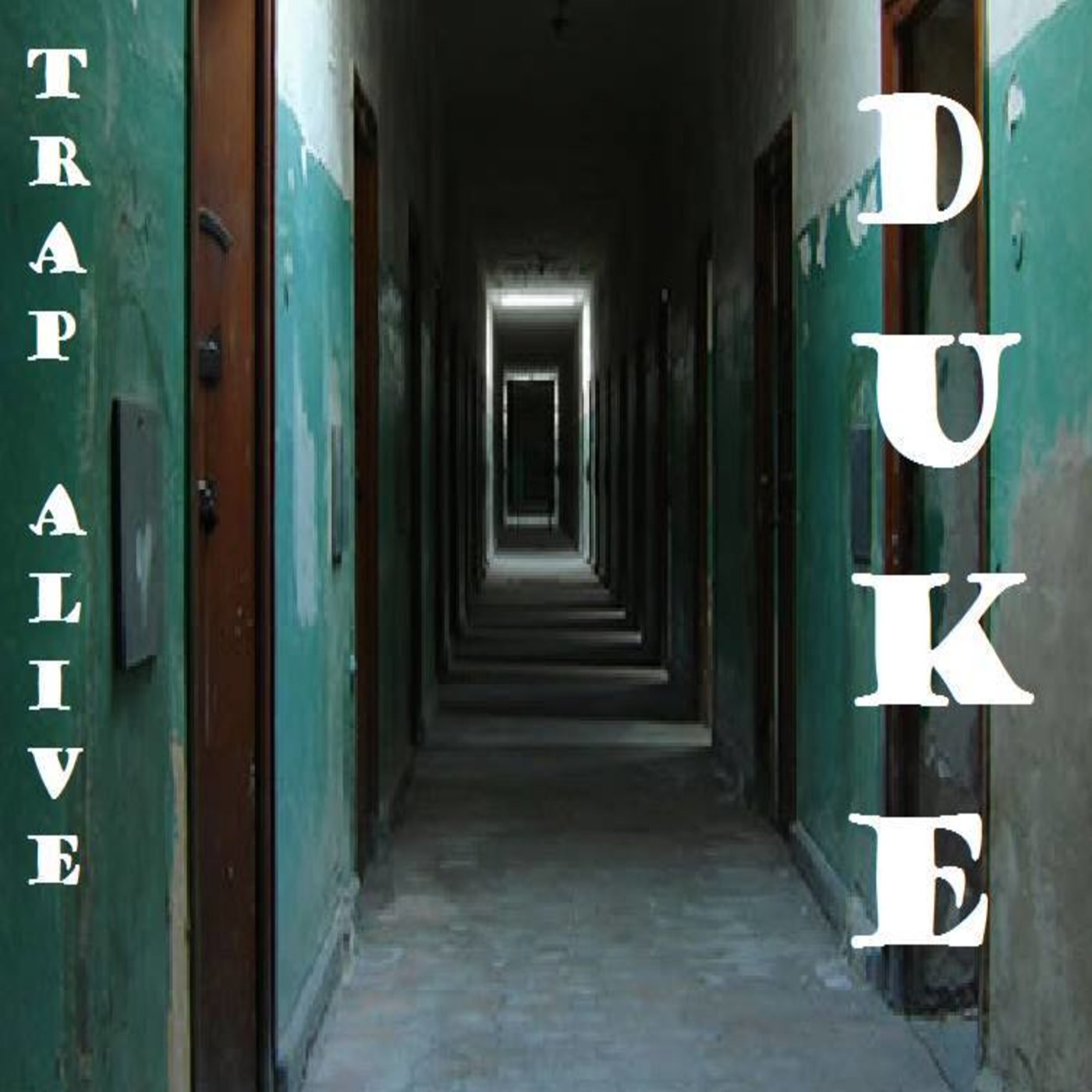 Duke  An independent artist from Washington DC